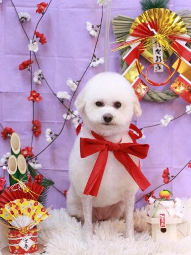 20230117MAPLEちゃん